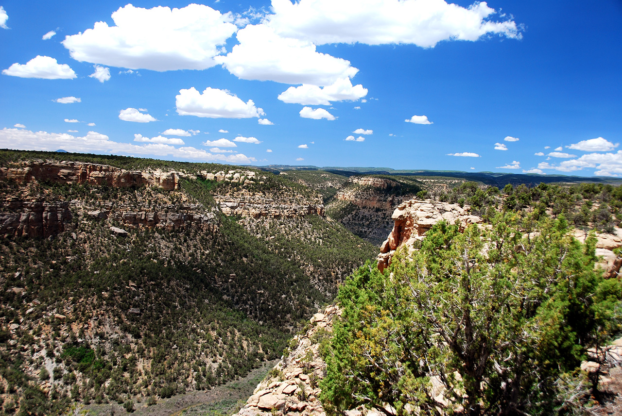 2013-06-05, 091, Canyon Barriers, Mesa Verde NP, CO
