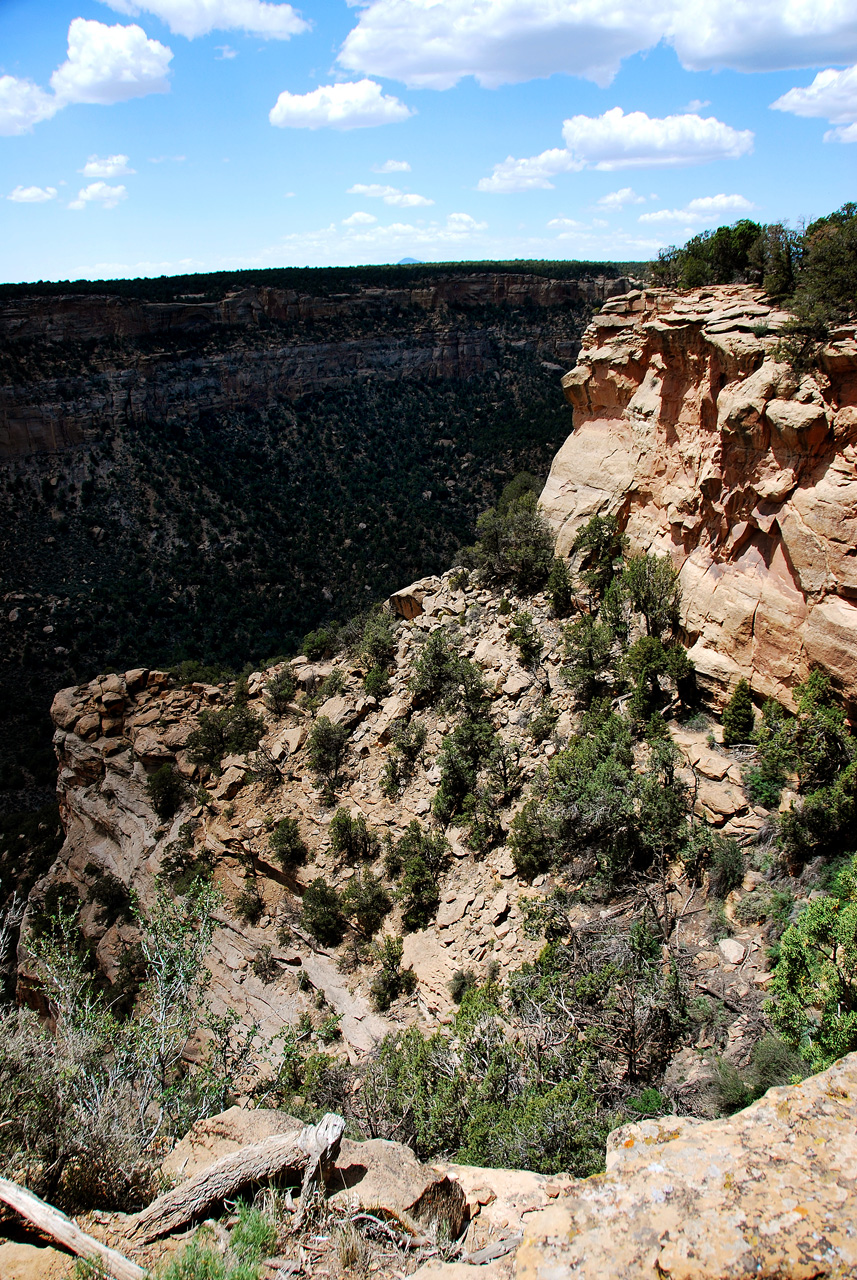 2013-06-05, 099, Square Tower, Mesa Verde NP, CO