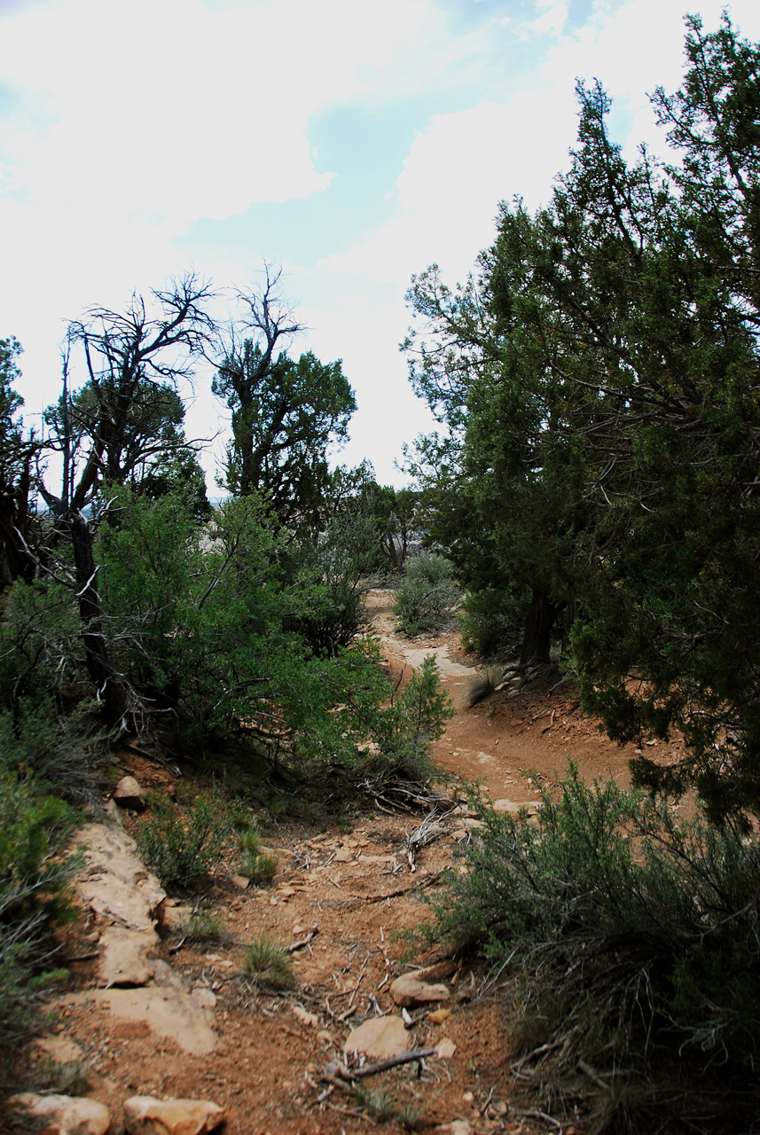 2013-06-05, 103, Square Tower, Mesa Verde NP, CO