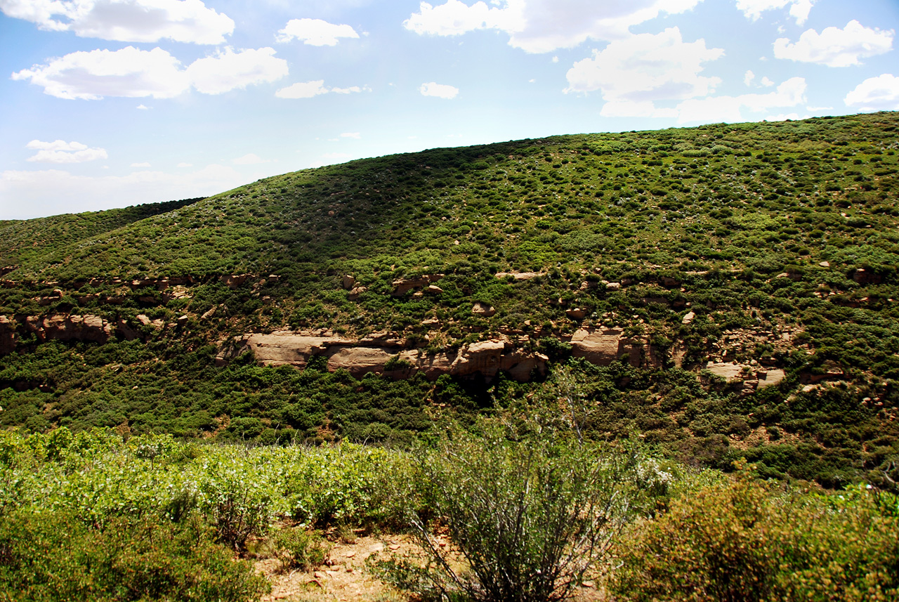 2013-06-05, 175, Mesa Verde NP, CO