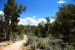 2013-06-05, 066, Soda Canyon, Mesa Verde NP, CO