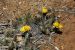 2013-06-05, 079, Soda Canyon, Mesa Verde NP, CO