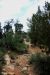 2013-06-05, 103, Square Tower, Mesa Verde NP, CO