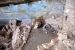 2013-06-05, 197, Step House, Mesa Verde NP, CO