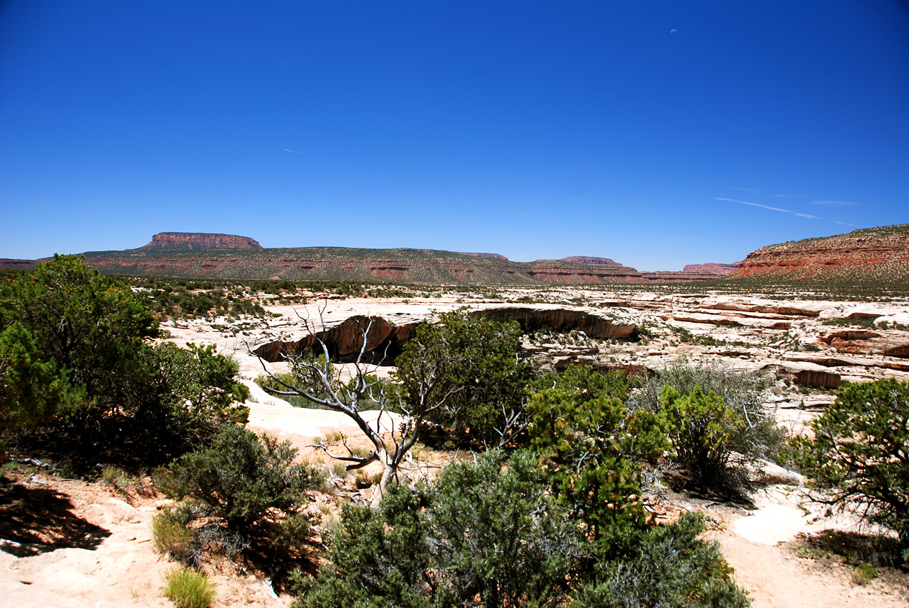 2013-06-01, 003, Bridge View Dr, Natural Bridges NM, UT