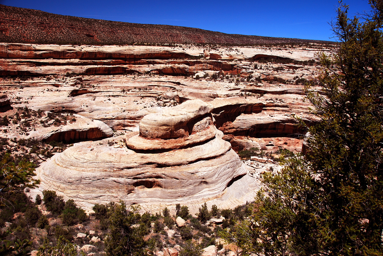 2013-06-01, 020, Sipapu Bridge Trail, Natural Bridges NM, UT