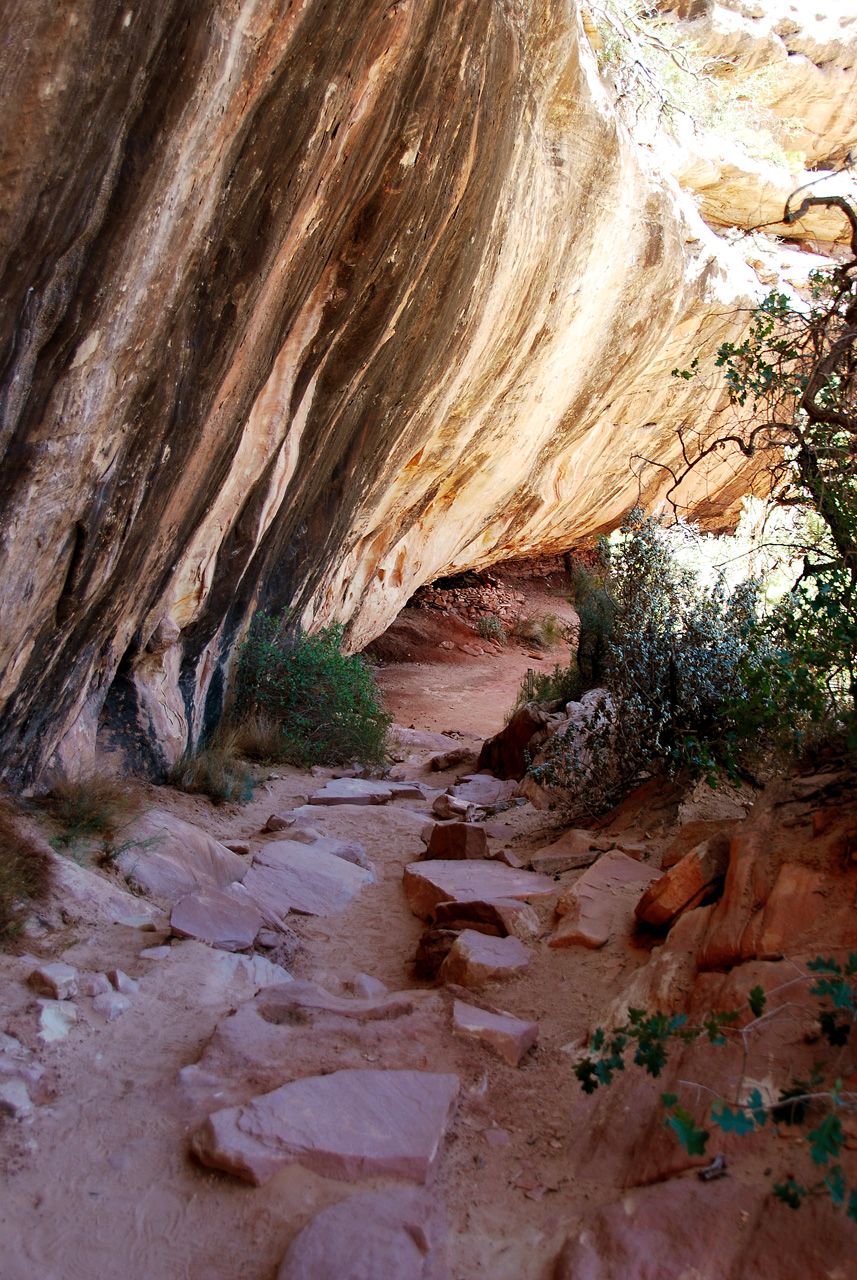 2013-06-01, 022, Sipapu Bridge Trail, Natural Bridges NM, UT