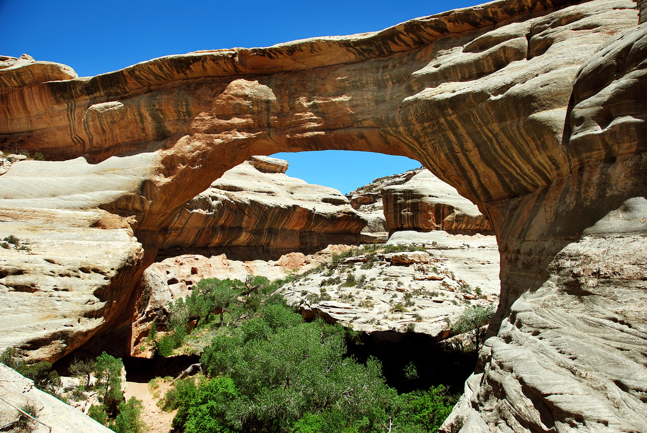 2013-06-01, 035, Sipapu Bridge Trail, Natural Bridges NM, UT