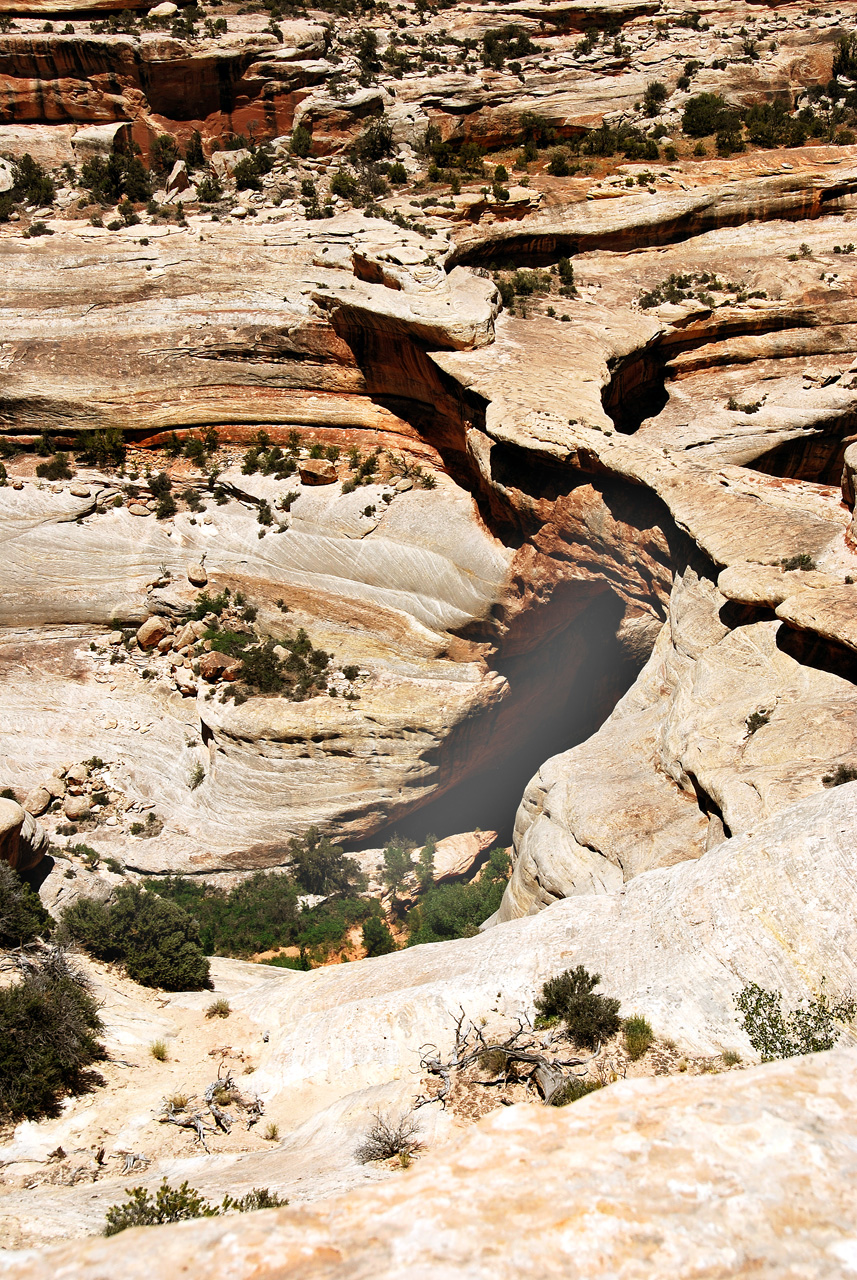 2013-06-01, 044, Natural Bridges NM, UT
