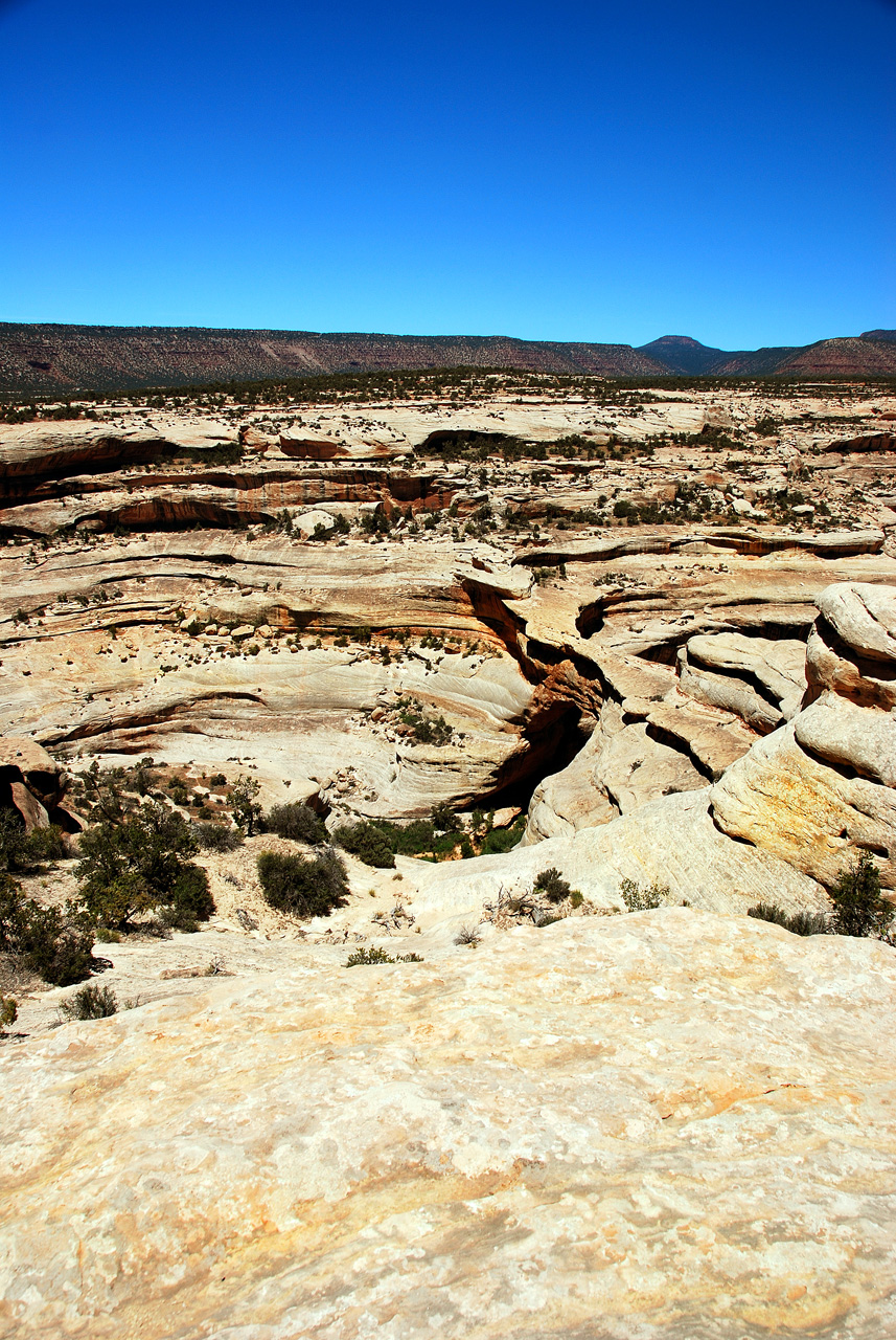 2013-06-01, 045, Natural Bridges NM, UT