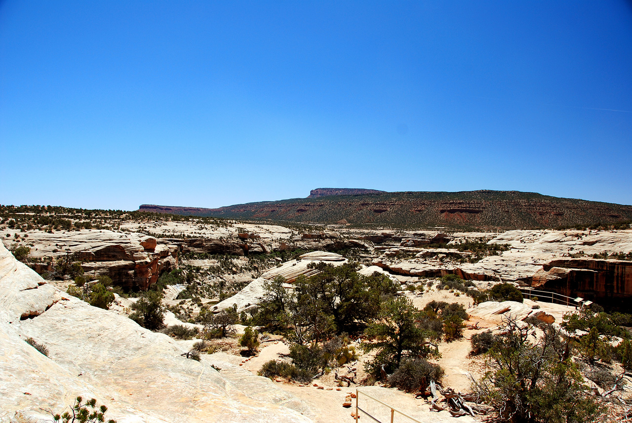 2013-06-01, 051, Horsecollar Ruin, Natural Bridges NM, UT