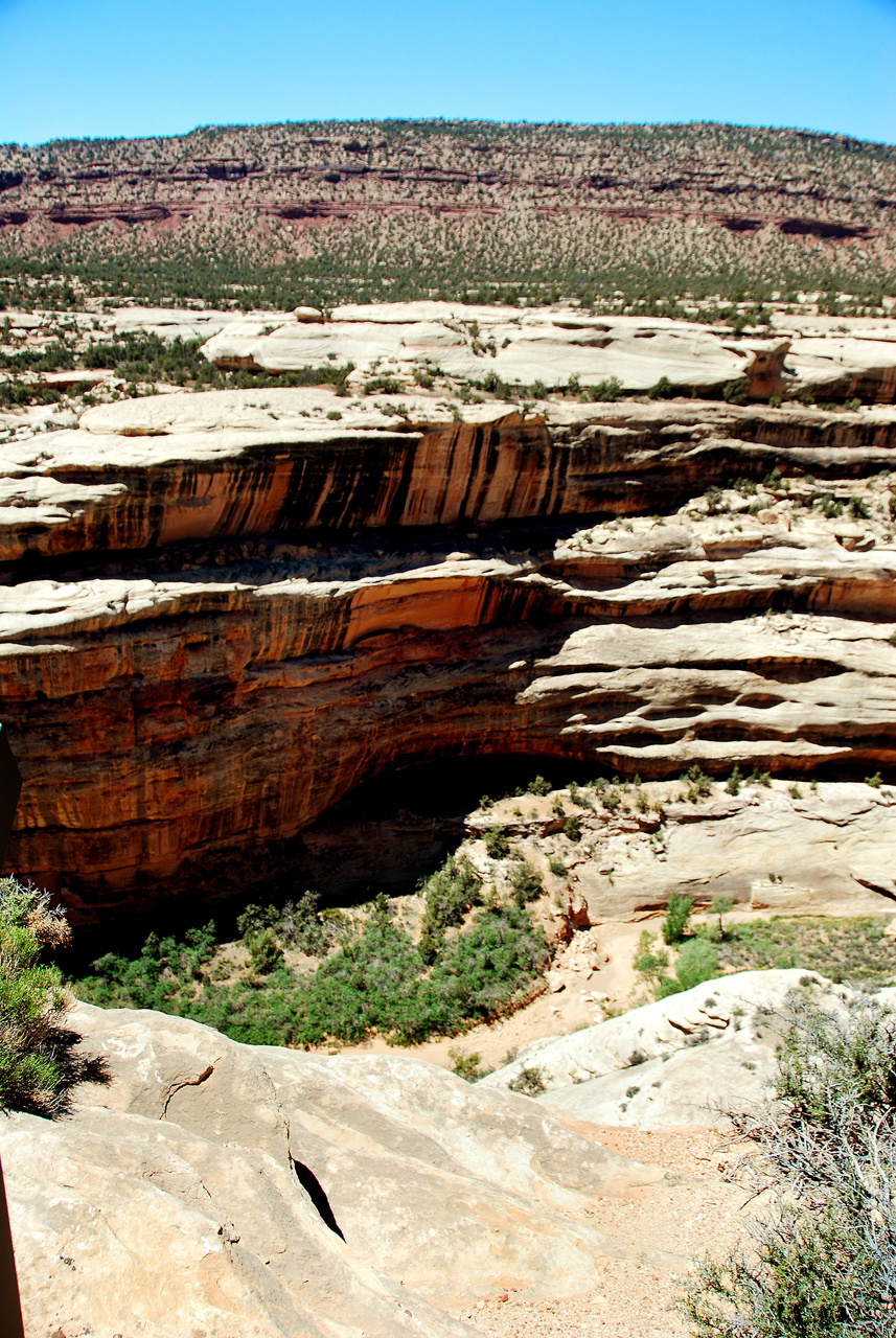 2013-06-01, 054, Horsecollar Ruin, Natural Bridges NM, UT