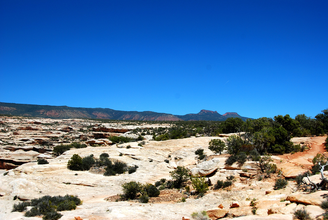 2013-06-01, 059, Horsecollar Ruin, Natural Bridges NM, UT