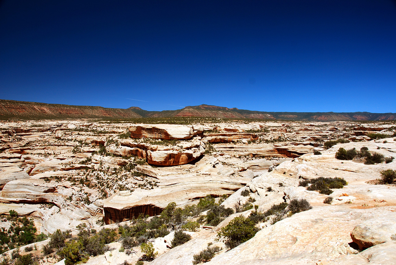 2013-06-01, 060, Horsecollar Ruin, Natural Bridges NM, UT