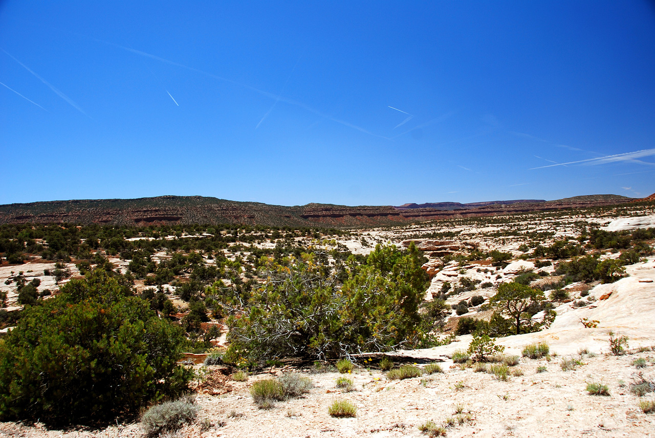 2013-06-01, 064, Natural Bridges NM, UT