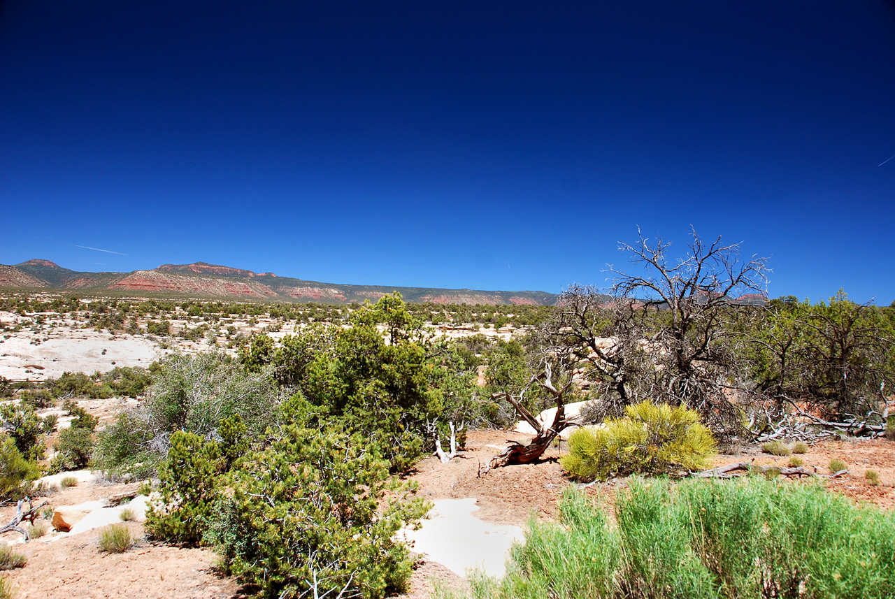 2013-06-01, 065, Natural Bridges NM, UT