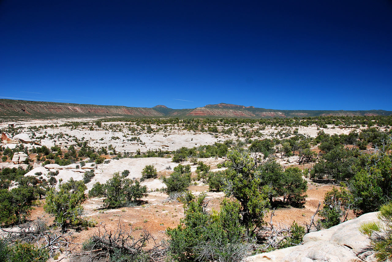 2013-06-01, 066, Natural Bridges NM, UT