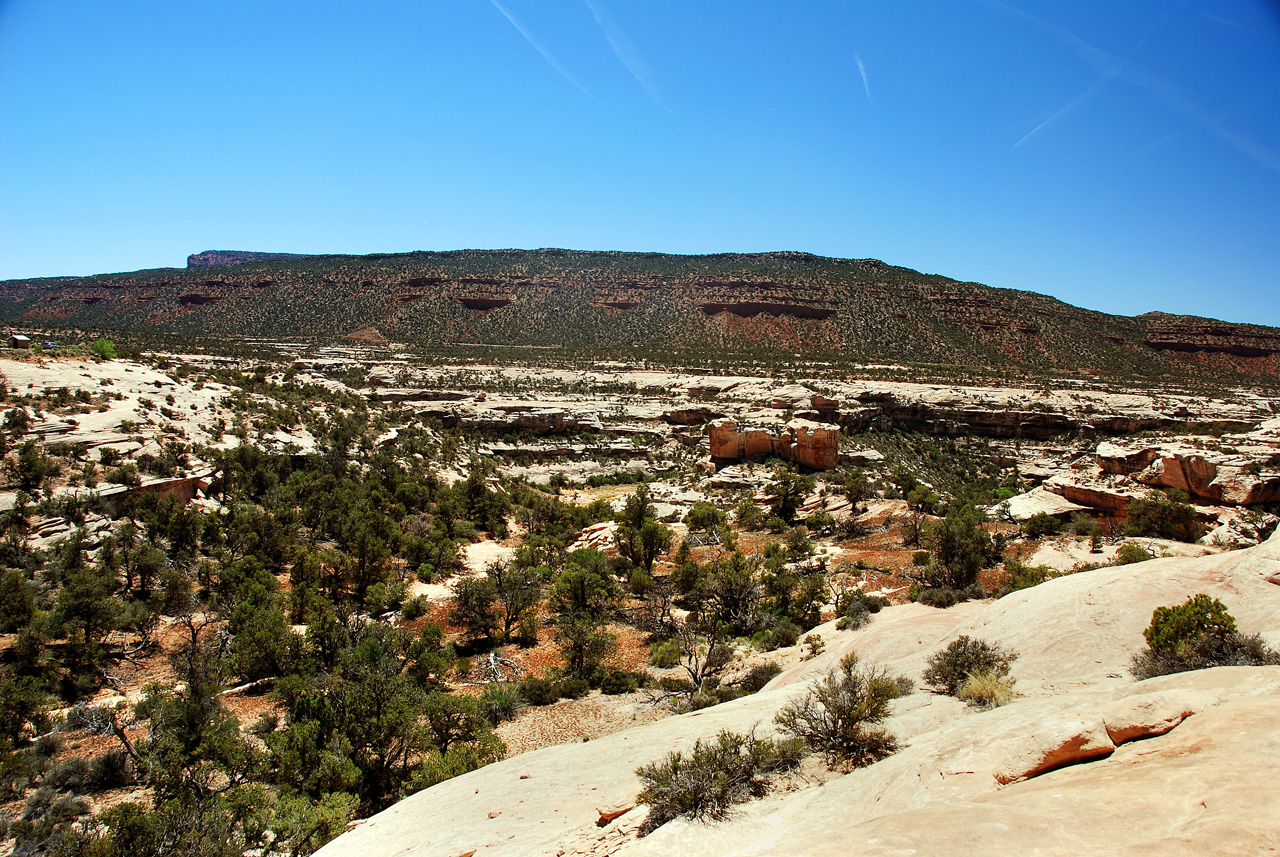 2013-06-01, 070, Natural Bridges NM, UT