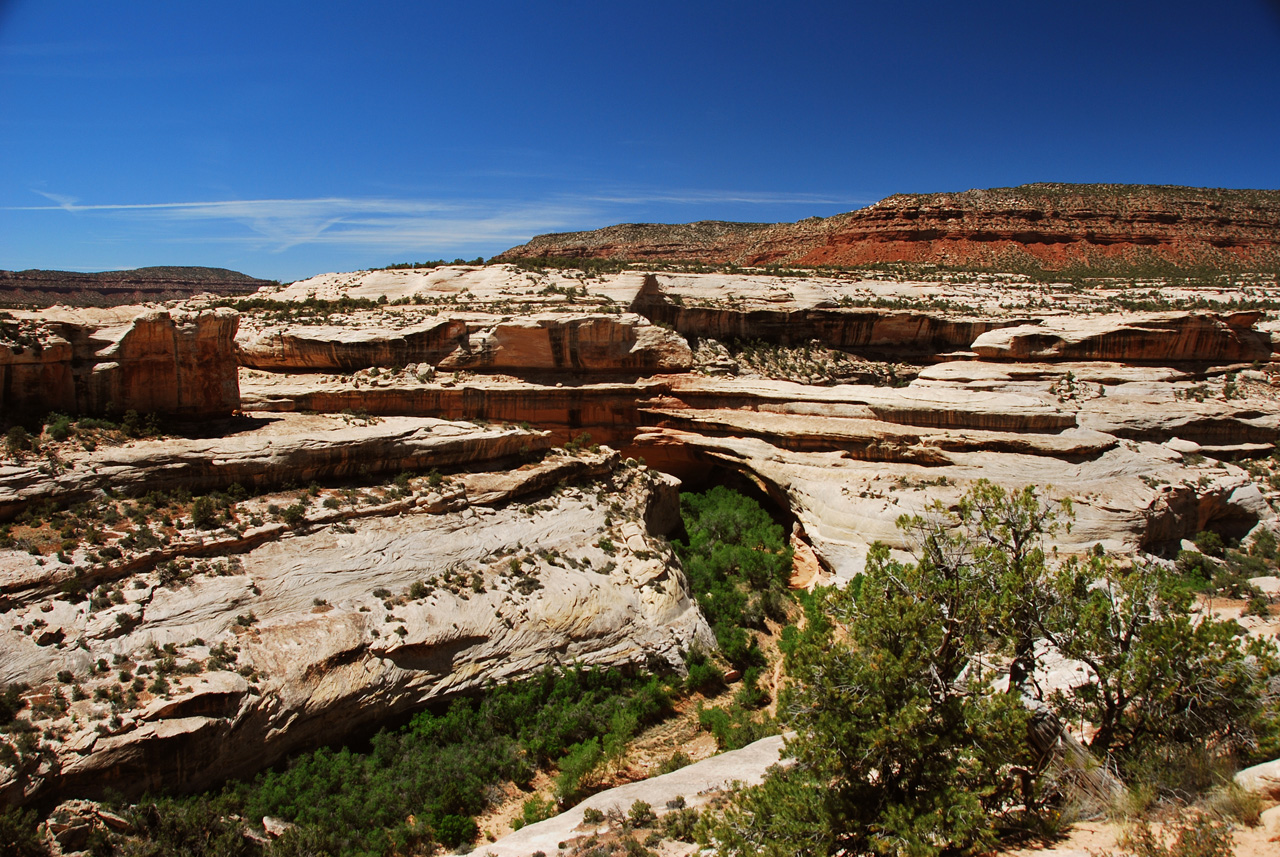 2013-06-01, 079, Kachina Bridge, Natural Bridges NM, UT