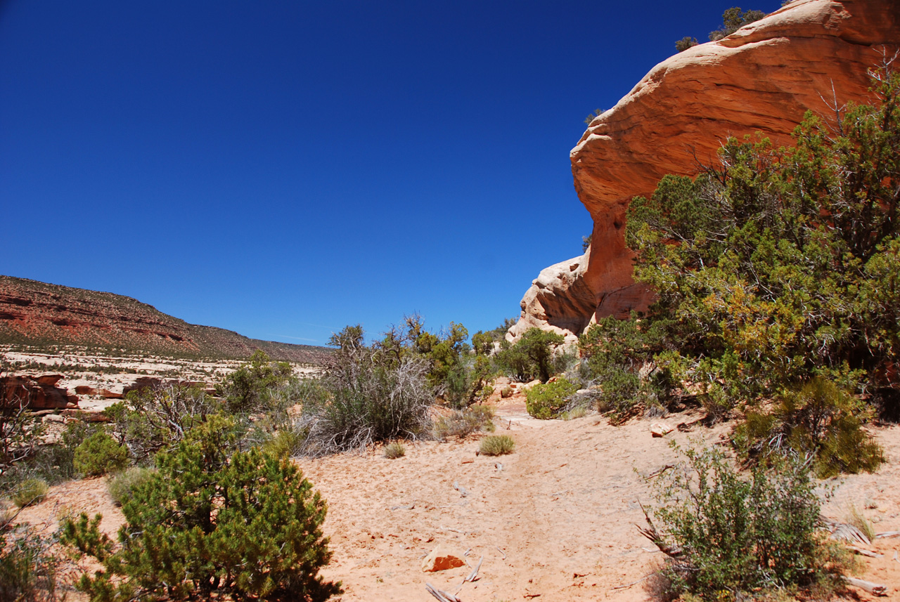 2013-06-01, 083, Kachina Bridge, Natural Bridges NM, UT