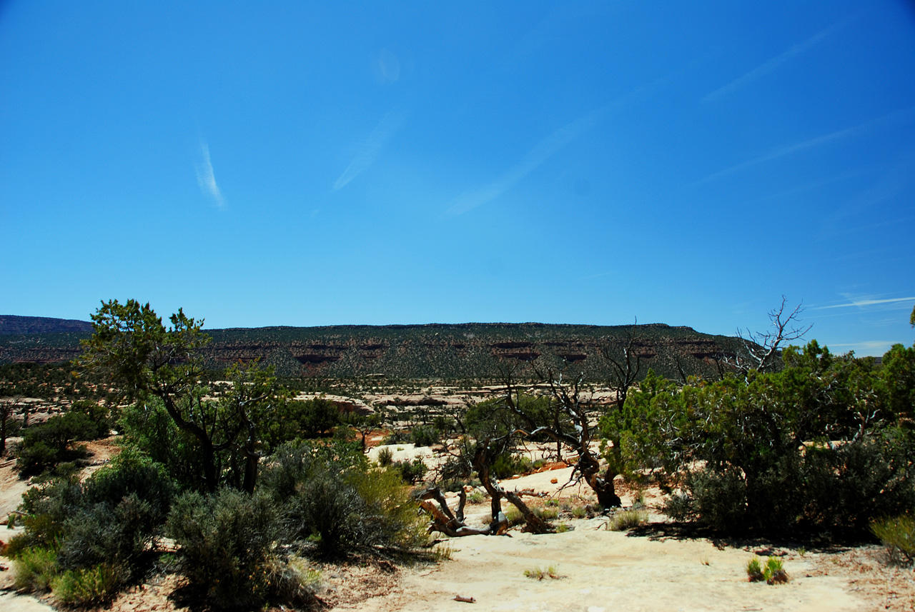 2013-06-01, 085, Owachomo Bridge, Natural Bridges NM, UT