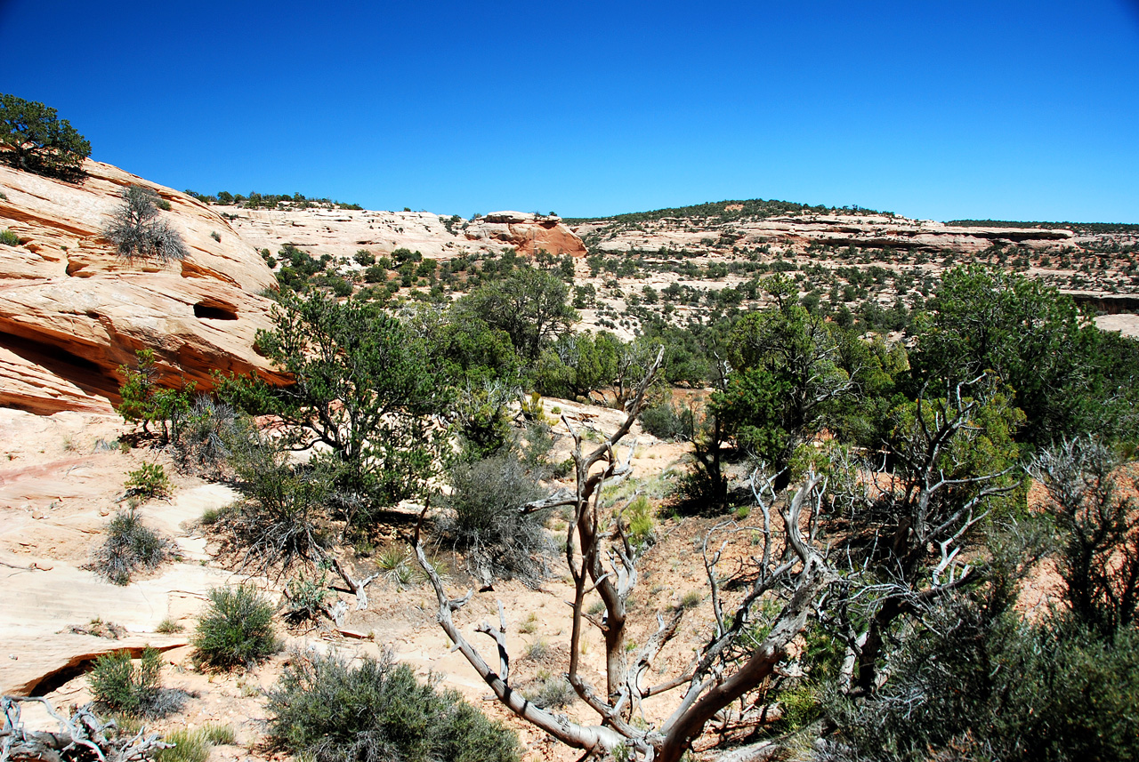 2013-06-01, 088, Owachomo Bridge, Natural Bridges NM, UT