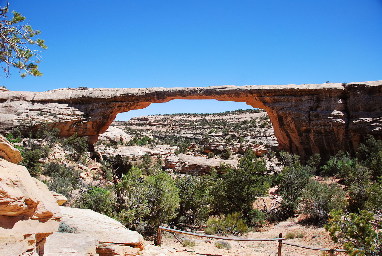 2013-06-01, 092, Owachomo Bridge, Natural Bridges NM, UT