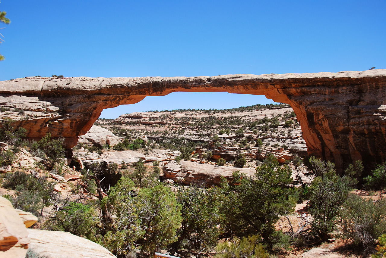 2013-06-01, 093, Owachomo Bridge, Natural Bridges NM, UT