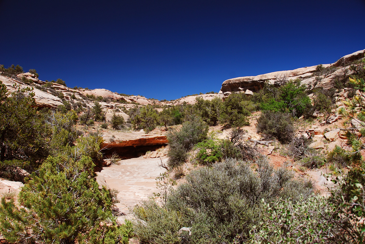 2013-06-01, 095, Owachomo Bridge, Natural Bridges NM, UT