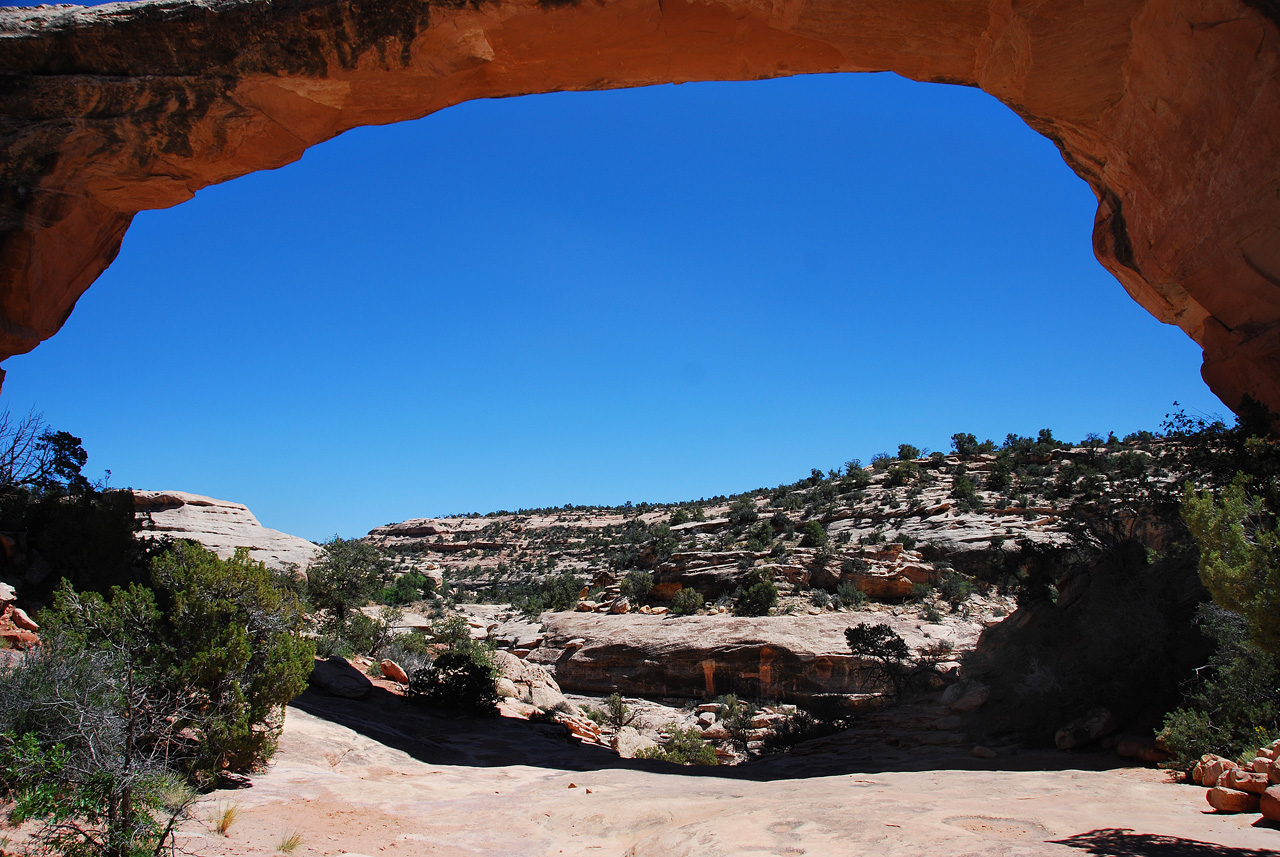 2013-06-01, 097, Owachomo Bridge, Natural Bridges NM, UT