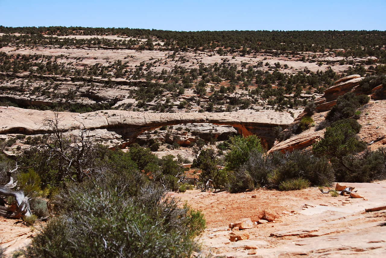 2013-06-01, 101, Owachomo Bridge, Natural Bridges NM, UT