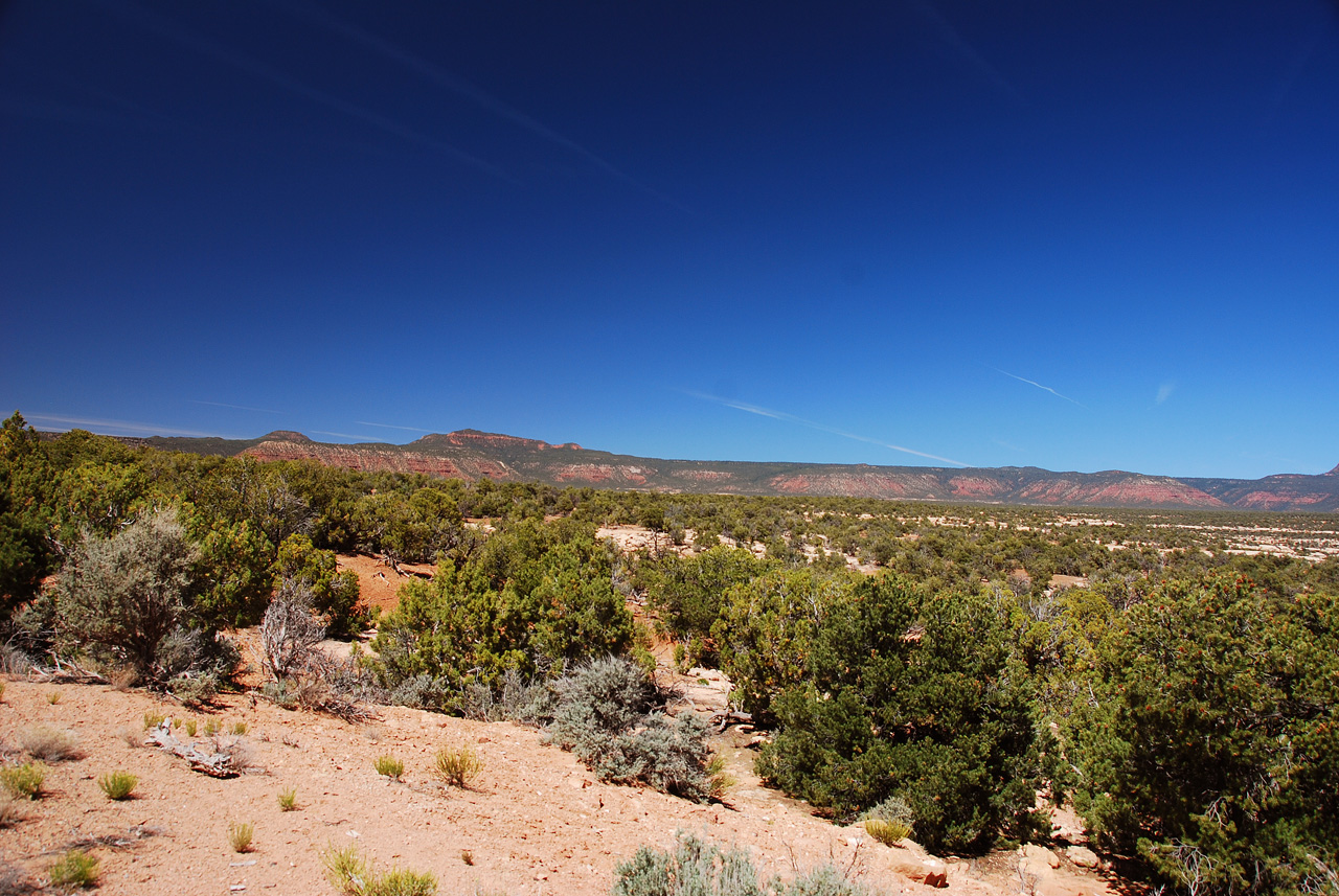 2013-06-01, 104, Bears Ears, Natural Bridges NM, UT