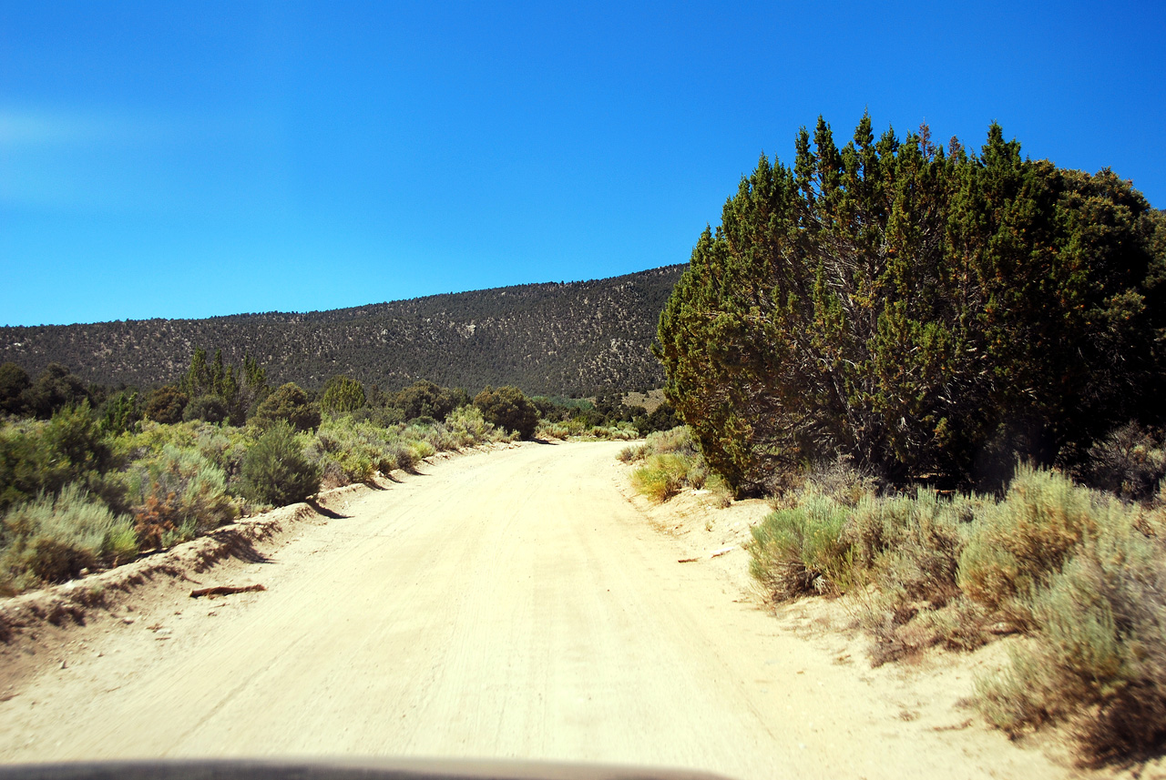 2013-06-26, 001, Strawberry Creek Road, NV