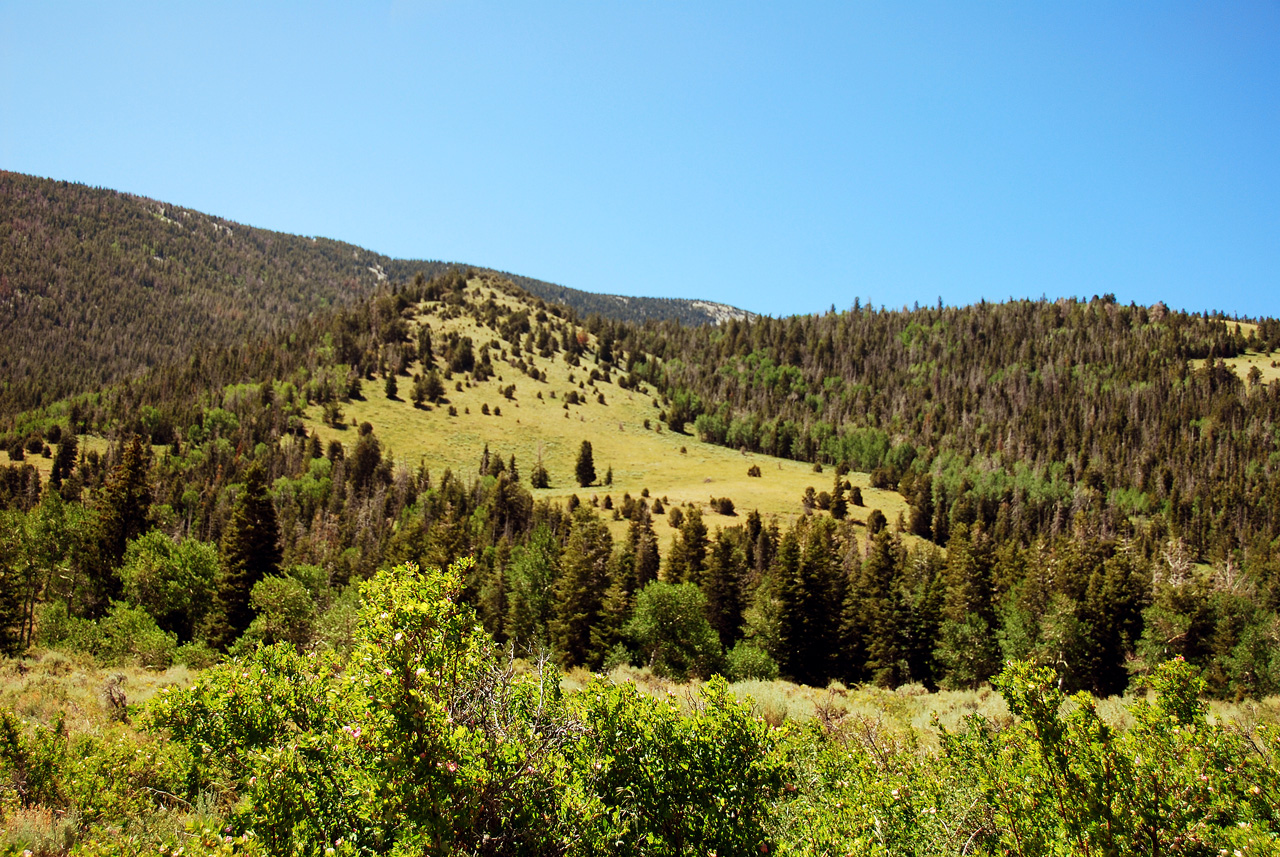 2013-06-26, 010, Strawberry Creek Road, NV