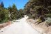 2013-06-26, 003, Strawberry Creek Road, NV