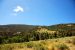2013-06-26, 012, Strawberry Creek Road, NV