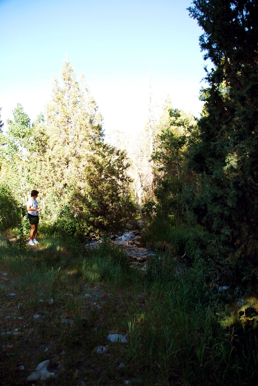 2013-06-22, 004, Great Basin NP, NV
