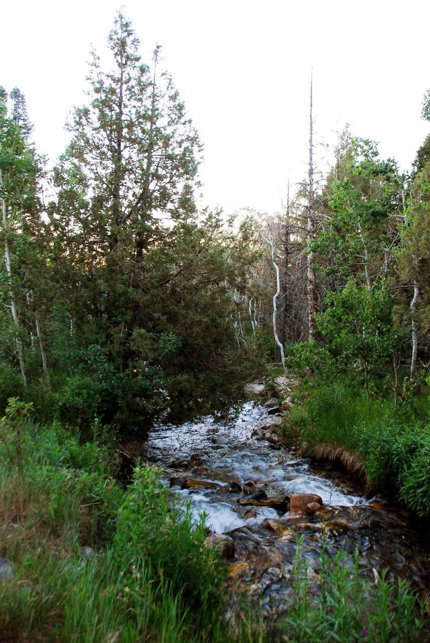 2013-06-22, 005, Great Basin NP, NV