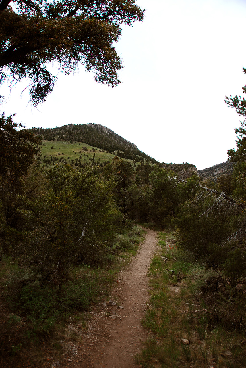 2013-06-24, 008, Lexington Arch, UT
