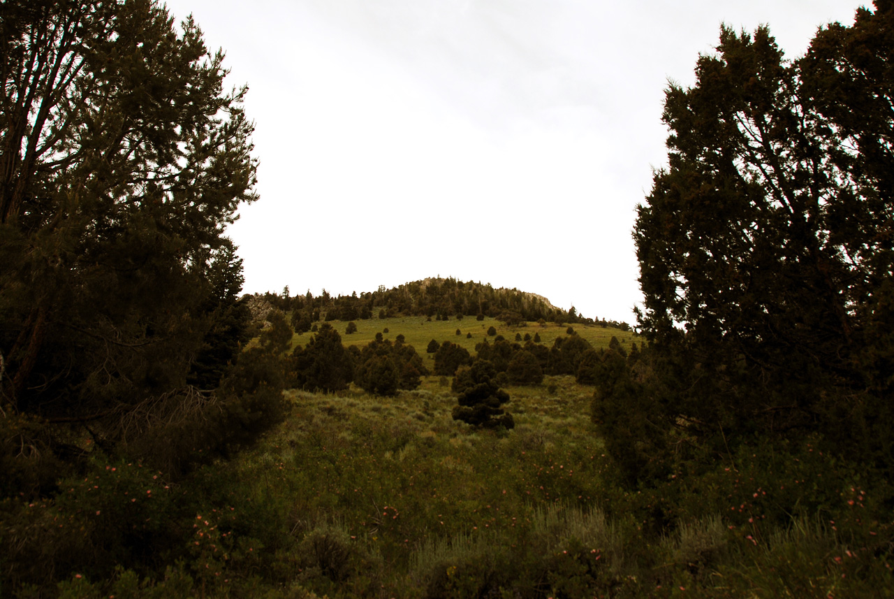2013-06-24, 013, Lexington Arch, UT