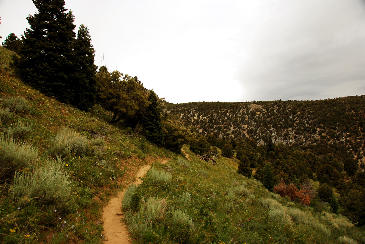 2013-06-24, 016, Lexington Arch, UT
