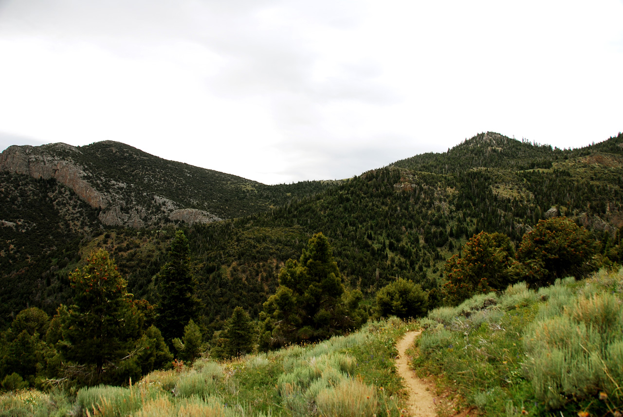 2013-06-24, 017, Lexington Arch, UT