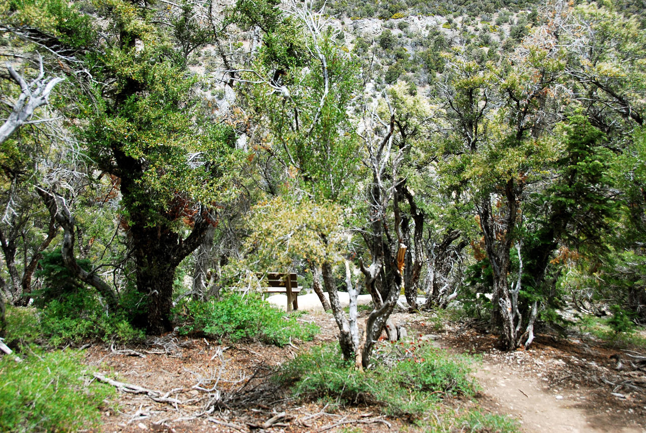 2013-06-24, 020, Lexington Arch, UT