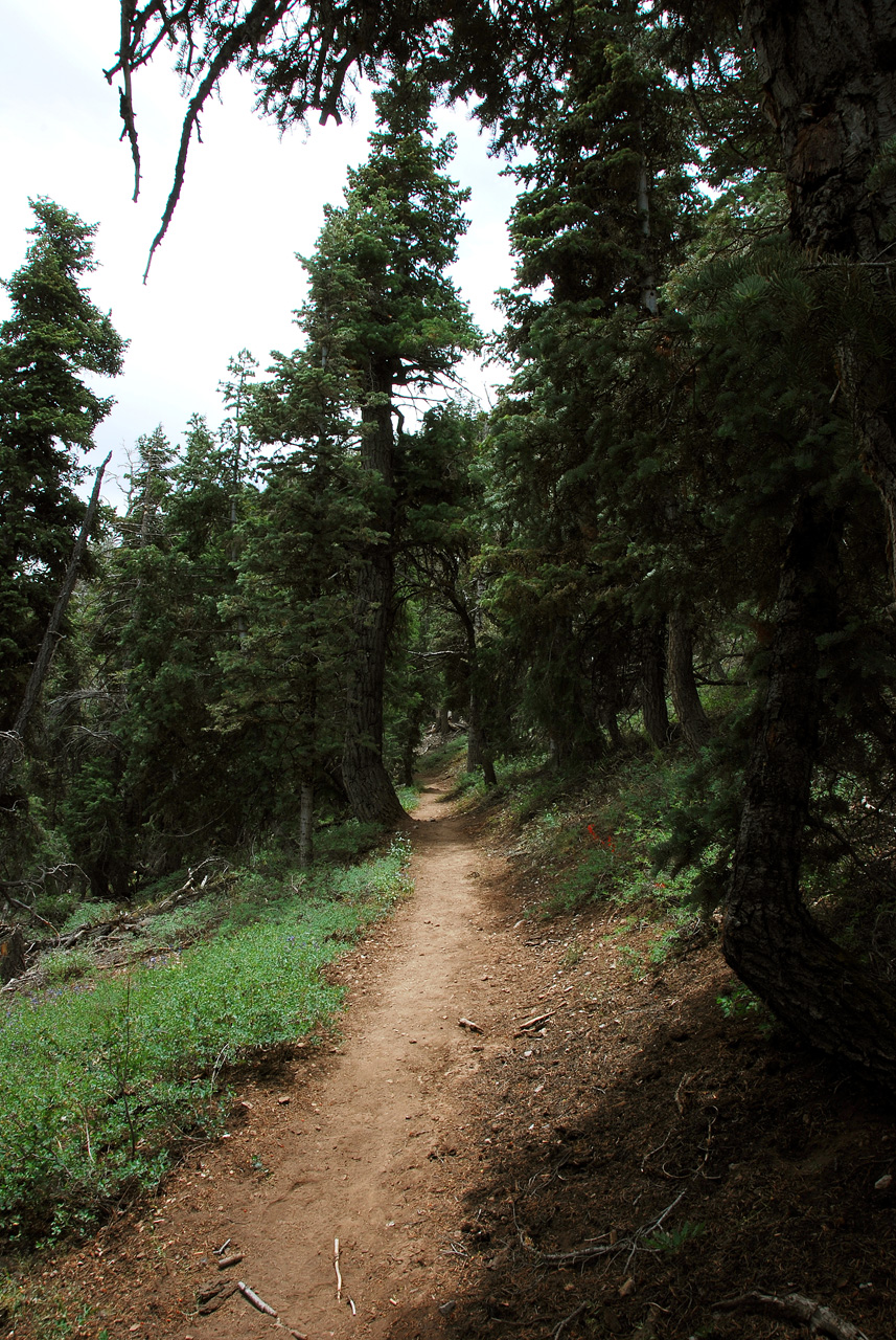 2013-06-24, 026, Lexington Arch, UT