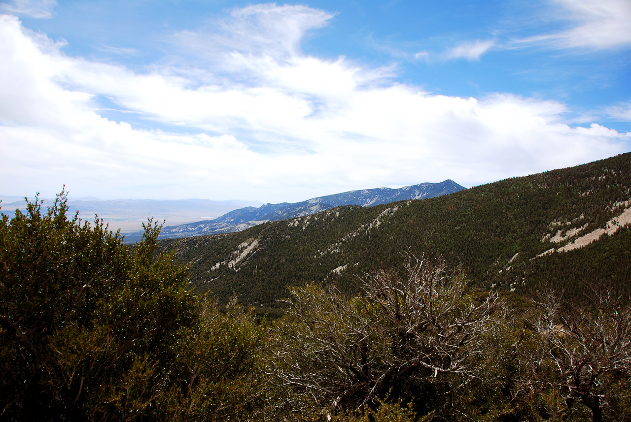 2013-06-23, 007, Wheeler Scenic Dr