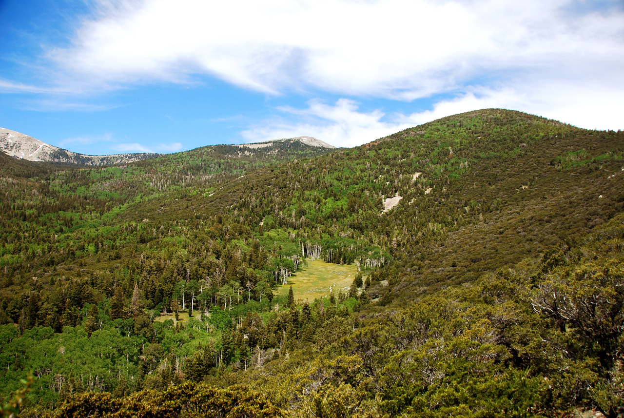 2013-06-23, 009, Wheeler Scenic Dr