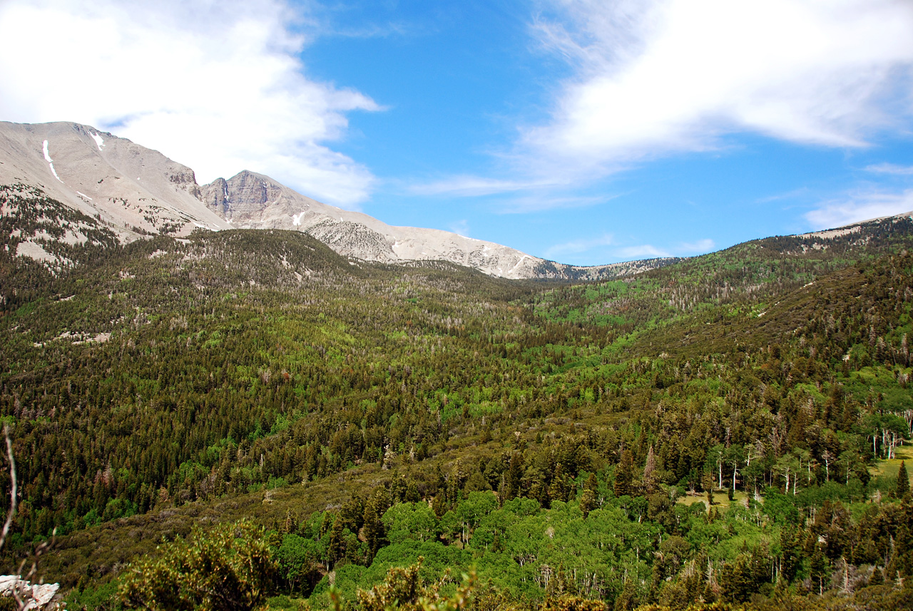 2013-06-23, 010, Wheeler Scenic Dr