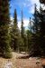 2013-06-23, 020, Wheeler Scenic Dr