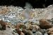 2013-07-01, 021, Bumpass Hell Trail, CA