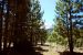 2013-06-30, 011, Devastated Area, CA